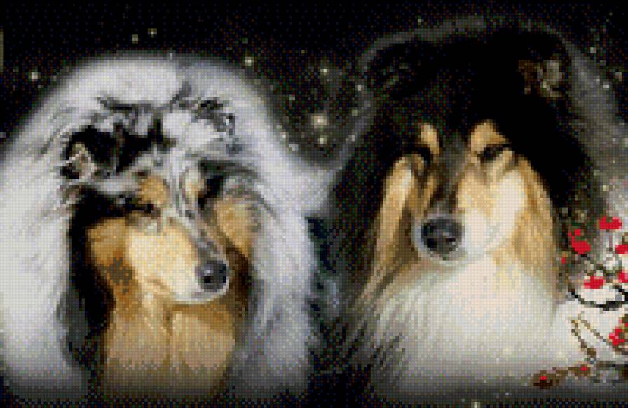 колляшки - предпросмотр