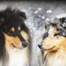 Схема вышивки «колляшки 2»