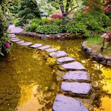 Схема вышивки «тропинка»