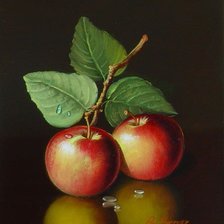 Схема вышивки «яблоки»