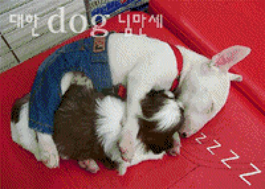 питбучик - предпросмотр