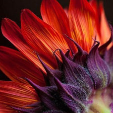 Схема вышивки «№767805»