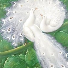 Схема вышивки «белые павлины 25»