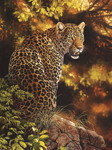 взгляд хищиника - мир животных (лошади) - оригинал