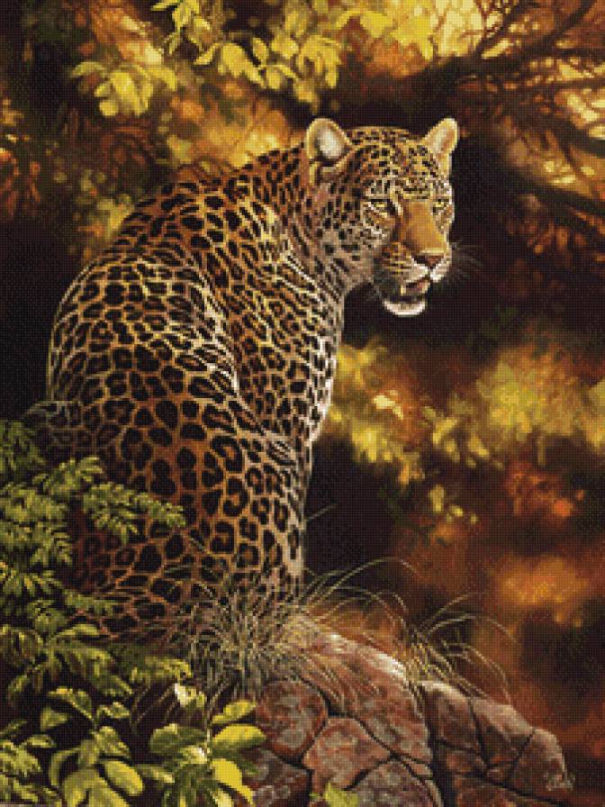 взгляд хищиника - мир животных (лошади) - предпросмотр