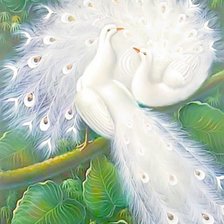 Схема вышивки «белые павлины 27»