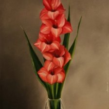 Схема вышивки «гладиолусы»