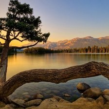 Схема вышивки «Одинокое дерево»