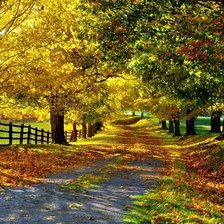 Схема вышивки «осень1»