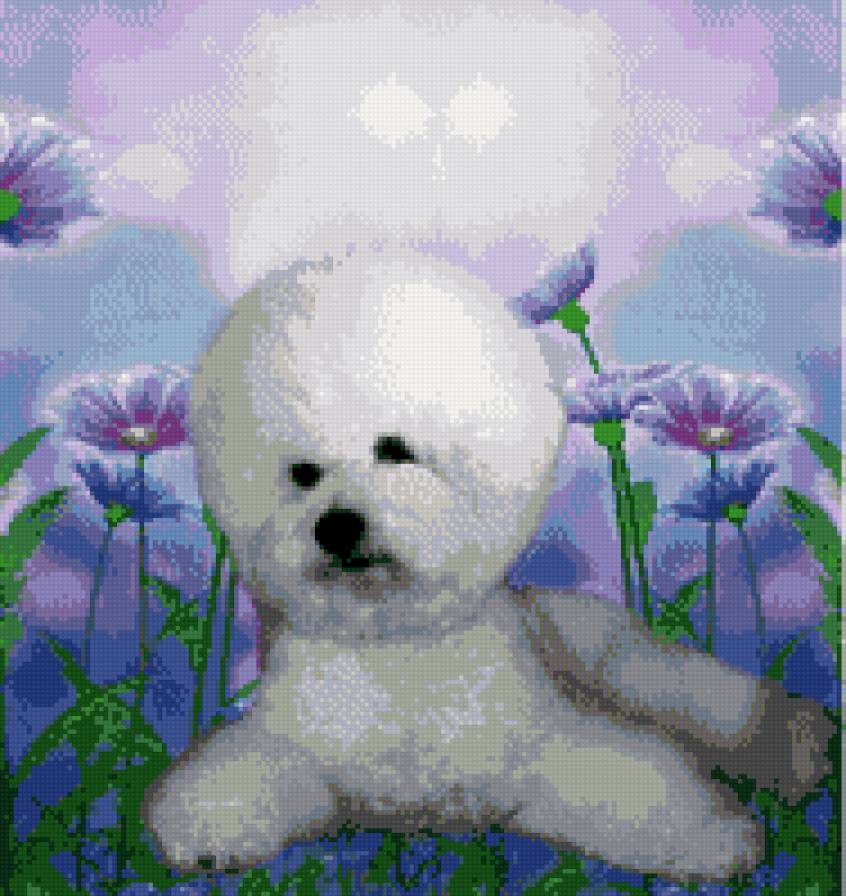 бишон 30 - предпросмотр