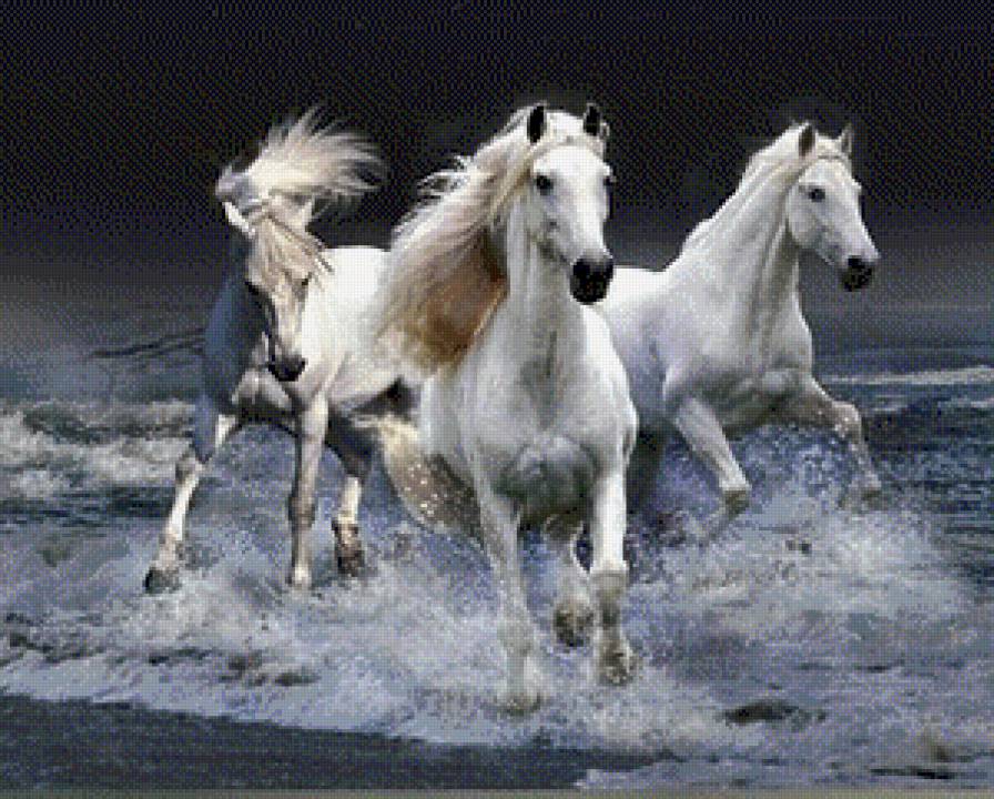 Лошади - лошади, животные - предпросмотр