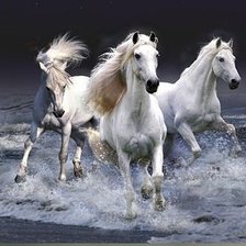 Схема вышивки «Лошади»