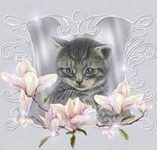 Схема вышивки «№768442»