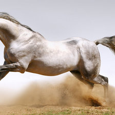 Схема вышивки «Белая лошадь»