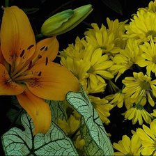 Схема вышивки «№768492»