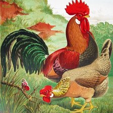 Схема вышивки «серия "птицы"»