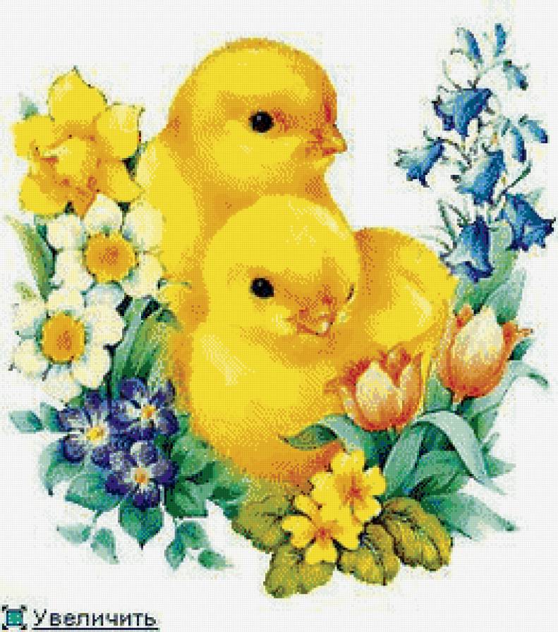 серия "птицы" - птицы.цыплята.цветы - предпросмотр