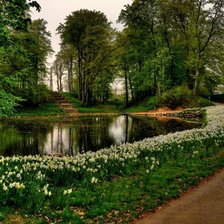 Схема вышивки «№768737»