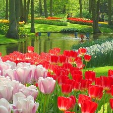 Схема вышивки «№768742»