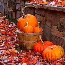 Схема вышивки «№768777»