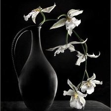 Схема вышивки «орхидея»