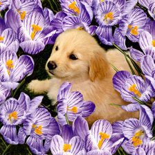 Схема вышивки «№768798»