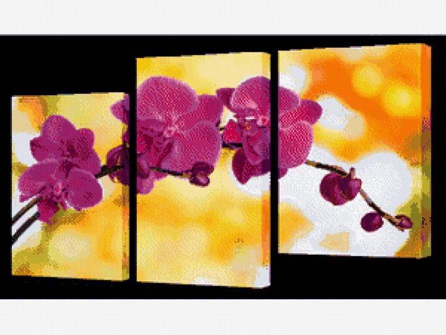 орхидея - предпросмотр