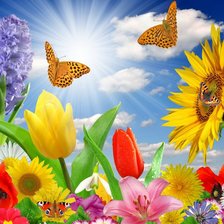 Схема вышивки «№768853»