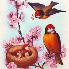 Схема вышивки «№768856»