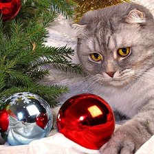 Схема вышивки «№768859»