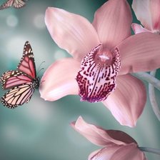 Схема вышивки «№768899»