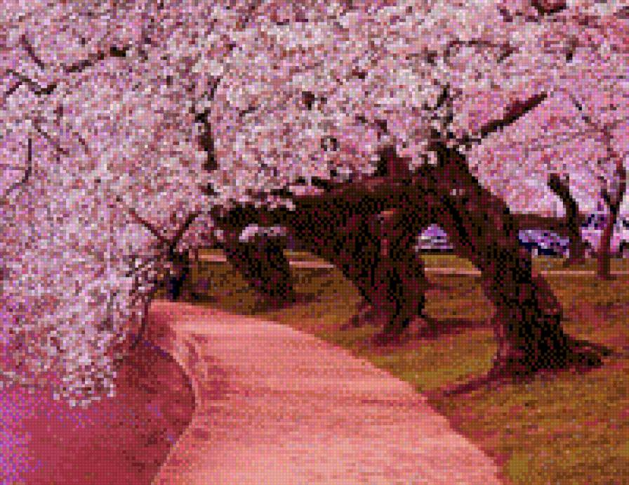 №768958 - предпросмотр