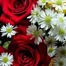 Схема вышивки «№769136»