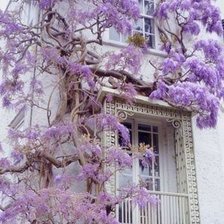 Схема вышивки «№769151»