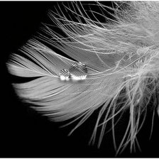 Схема вышивки «Пёрышко»