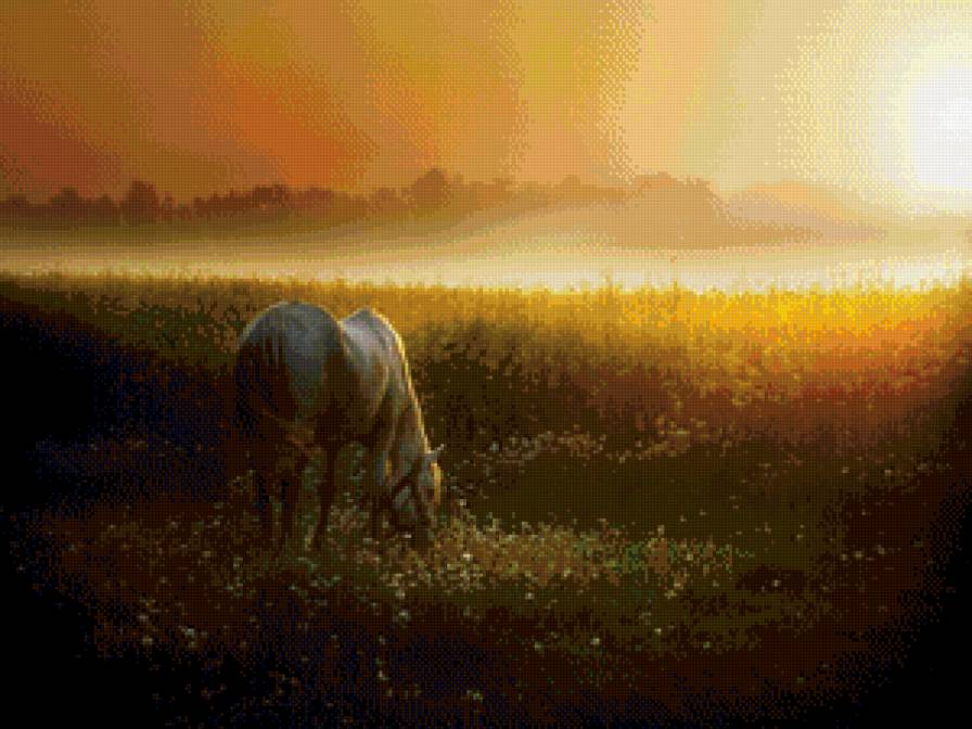 Рассвет - конь, рассвет, поле - предпросмотр