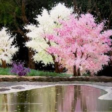 Схема вышивки «цветущие деревья»