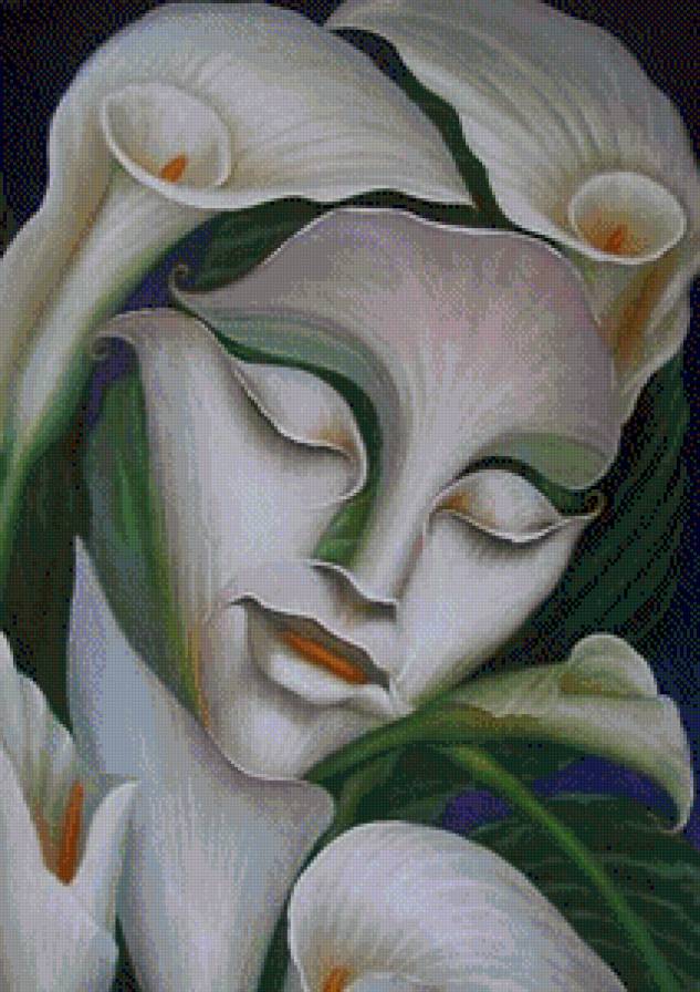 Иллюзия цветов 1 - женщина, иллюзия, кала, букет, цветы, дева, растения, девушка - предпросмотр