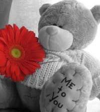 Схема вышивки «мишка»