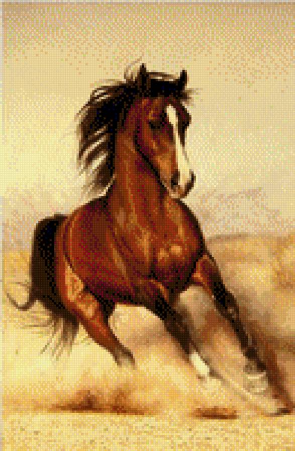 Лошадка - предпросмотр