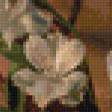 Предпросмотр схемы вышивки «натюрморт» (№769674)