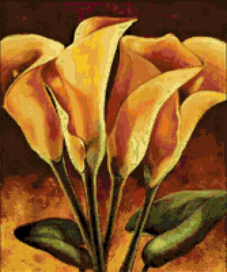 Calas - предпросмотр