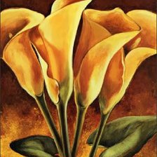 Схема вышивки «Calas»