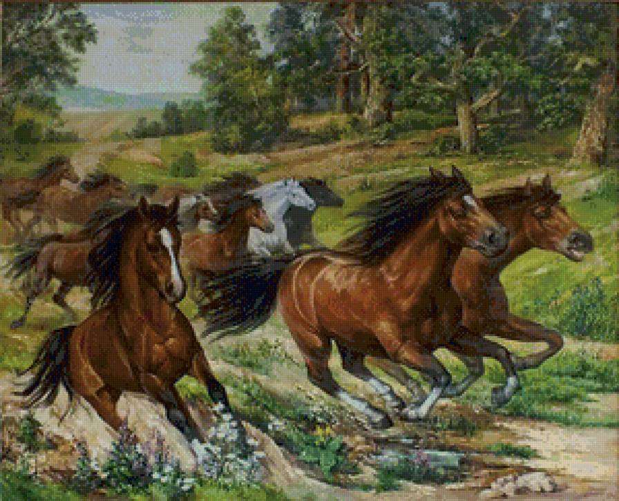 Табун лошадей - лошади, природа, животные - предпросмотр