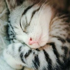 Схема вышивки «сладко спим»