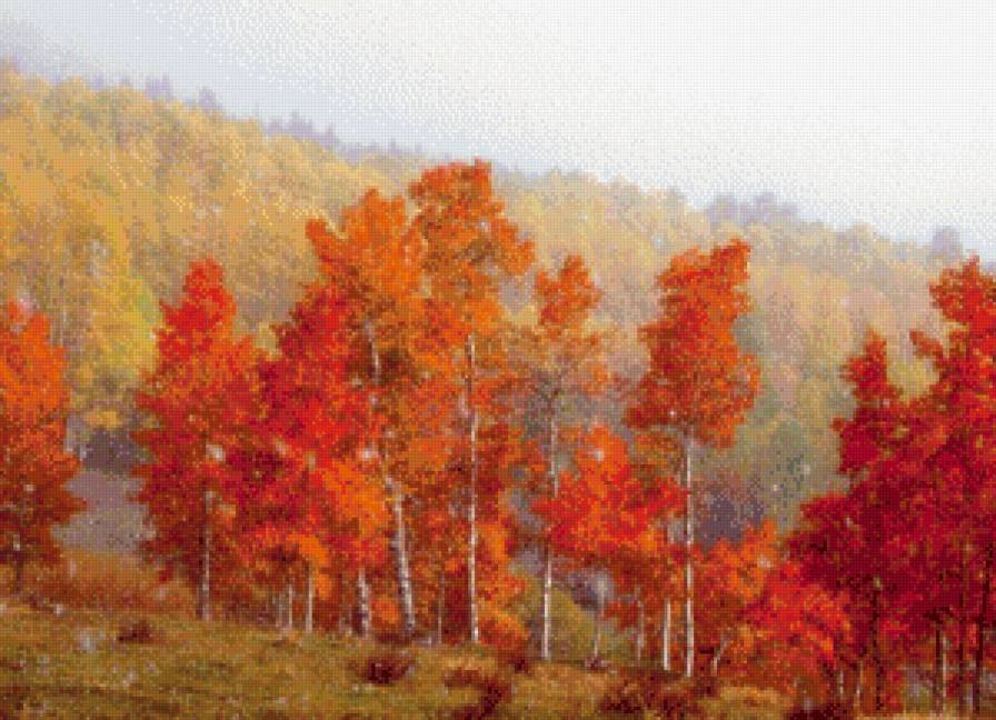 осень - осень, лес - предпросмотр