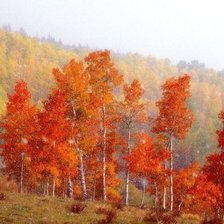 Схема вышивки «осень»