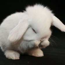 Схема вышивки «обидка»