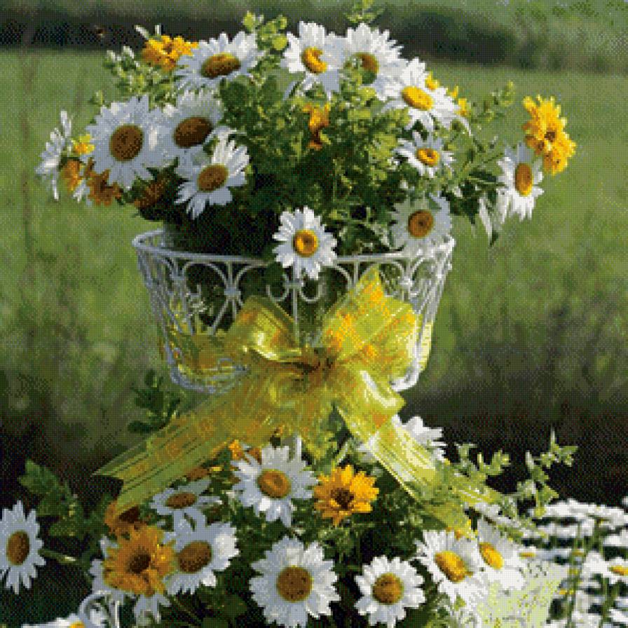 ромашки - ромашки - предпросмотр