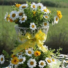 Схема вышивки «ромашки»